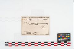 Etikett zu Eisenschwert (NHMW-PRAE-002339)